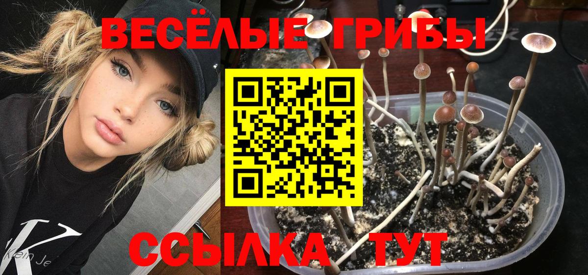 Псилоцибиновые грибы MAGIC MUSHROOMS  Вход с VPN  Североморск  Галлюциногенные грибы прущие грибы 