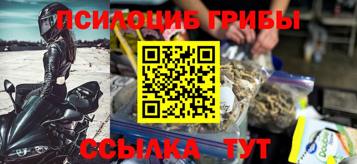 Псилоцибиновые грибы прущие грибы Североморск